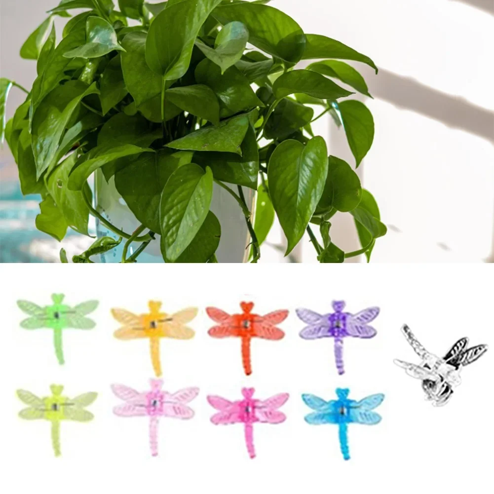 70/80/100pcs Dragonfly Plant Support Clips Climbing Plants Support Clips Orchid Clip Plastic Plant Attachment Clips Home Garden
70/80/100pcs Dragonfly Plant Support Clips Climbing Plants Support Clips Orchid Clip Plastic Plant Attachment Clips Home Garden
