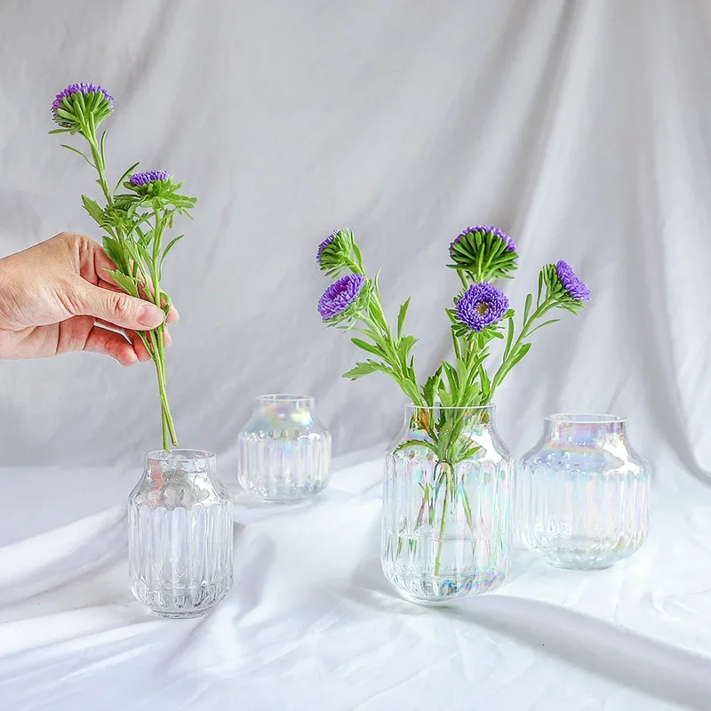 MiNi Glass Vase Home Decor Dried Flowers Ornaments Nordic Transparent Vases For Tabletop Hydroponics Decoration Flower Pot Декор
MiNi Glass Vase Home Decor Dried Flowers Ornaments Nordic Transparent Vases For Tabletop Hydroponics Decoration Flower Pot Декор