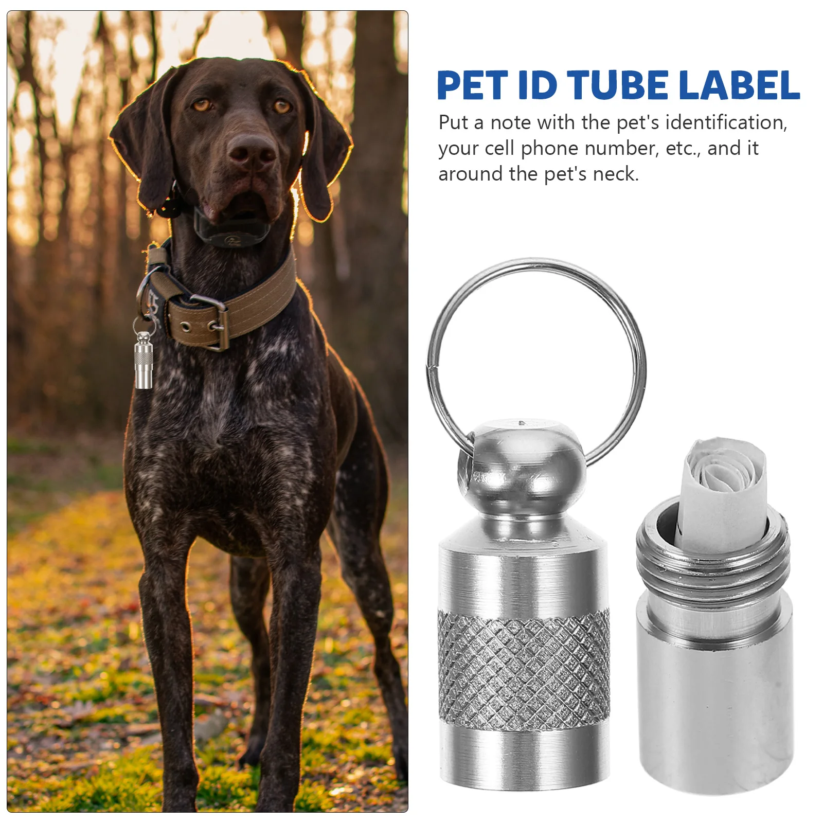 6pcs Pet Tags Anti Losing Name Cards for Cat Dog Aluminum Engravable Collar Lightweight Portable Hollow Tube Rust Resistance
6pcs Pet Tags Anti Losing Name Cards for Cat Dog Aluminum Engravable Collar Lightweight Portable Hollow Tube Rust Resistance