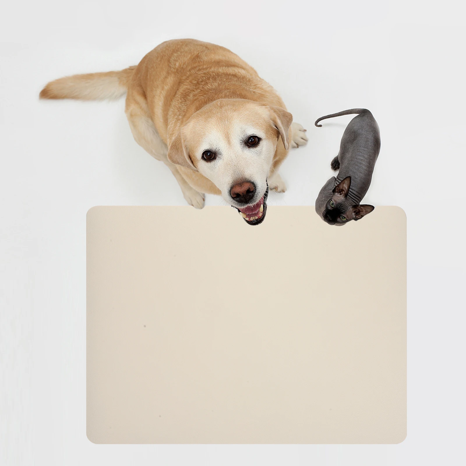 Absorbent Pet Feeding Cat Reusable Water Bowl No Stains Anti Slip Dog Food Large Quick Dry Thick Placemat Indoor Outdoor Use Pet
Absorbent Pet Feeding Cat Reusable Water Bowl No Stains Anti Slip Dog Food Large Quick Dry Thick Placemat Indoor Outdoor Use Pet