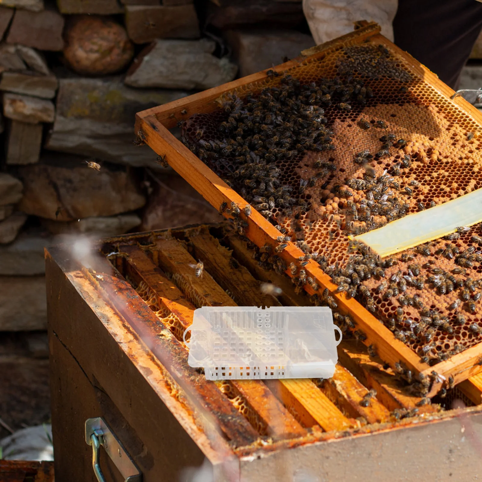 5Pcs Bee Rearing Tools Transparent Queen Cage Integrated Structure Minimizes Complexity Reduces Escape Risk Professional Use
5Pcs Bee Rearing Tools Transparent Queen Cage Integrated Structure Minimizes Complexity Reduces Escape Risk Professional Use