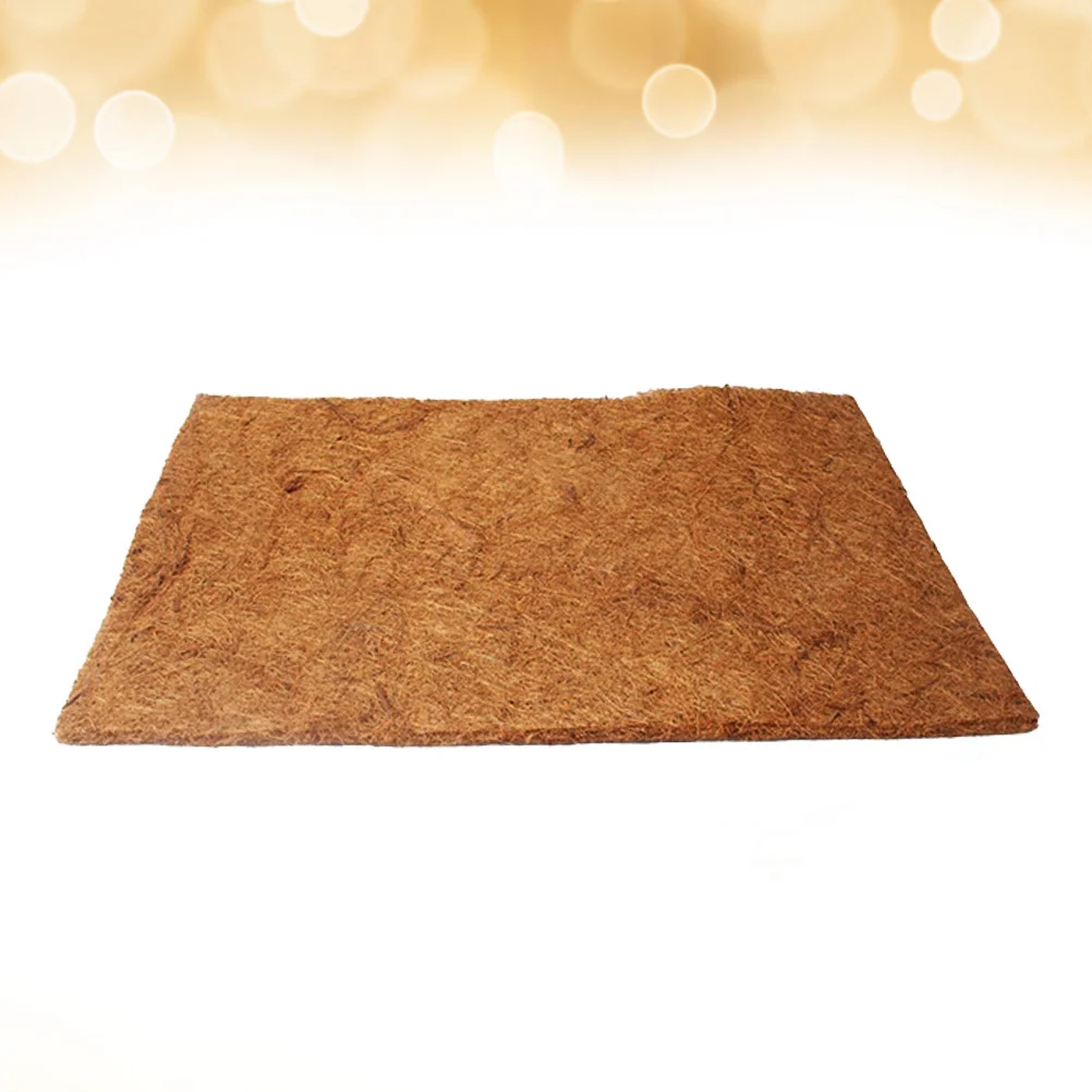 2 Pcs Reptile Bed Mat Climb Cage Products Cushion Supplies Tortoise Terrarium Bedding
2 Pcs Reptile Bed Mat Climb Cage Products Cushion Supplies Tortoise Terrarium Bedding