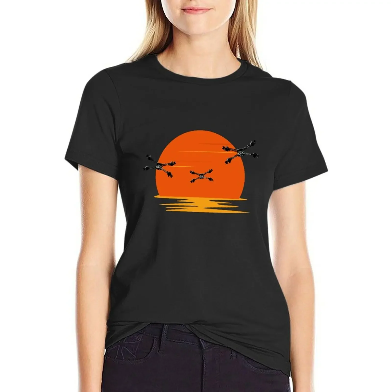 Starfury Fighters - Sunset - Black - Sci-Fi T-shirt cute tops anime clothes summer blouses woman 2024
Starfury Fighters - Sunset - Black - Sci-Fi T-shirt cute tops anime clothes summer blouses woman 2024