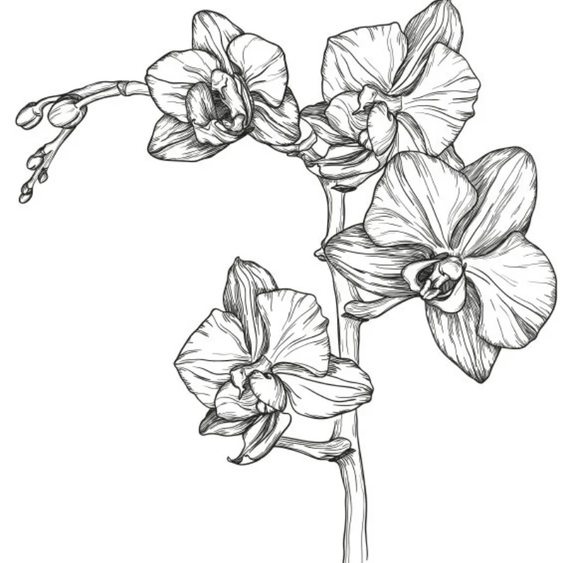 Ручная сумка для хранения радиоуправляемого автомобиля для KYOSHO 1/10 1/8 RC Crawler TRX4 Axial SCX10 D90 Tamiya CC01 RC Модель автомобиля 55*мм20мм*30мм
Ручная сумка для хранения радиоуправляемого автомобиля для KYOSHO 1/10 1/8 RC Crawler TRX4 Axial SCX10 D90 Tamiya CC01 RC Модель автомобиля 55*мм20мм*30мм