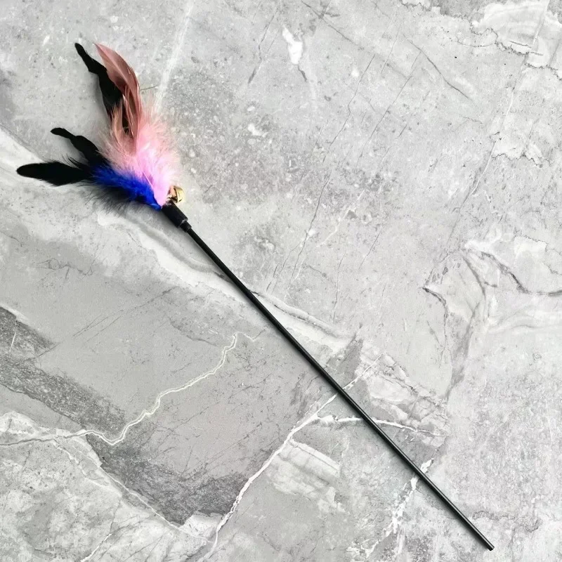 1-5pcs 50cm Funny Kitten Cat Teaser Interactive Toy Rod with Bell and Feather Toys For Pet Cats Stick Wire Chaser Wand Toy
1-5pcs 50cm Funny Kitten Cat Teaser Interactive Toy Rod with Bell and Feather Toys For Pet Cats Stick Wire Chaser Wand Toy