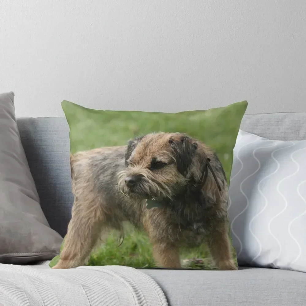 Border Terrier Throw Pillow Pillows Aesthetic Luxury Cushion Cover Decorative Sofa Cushion pillow
Border Terrier Throw Pillow Pillows Aesthetic Luxury Cushion Cover Decorative Sofa Cushion pillow