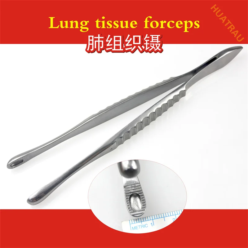 Lung tissue forceps bear paw forceps medical big head dressing forceps oval perforated forceps cardiothoracic surgery instrument
Lung tissue forceps bear paw forceps medical big head dressing forceps oval perforated forceps cardiothoracic surgery instrument