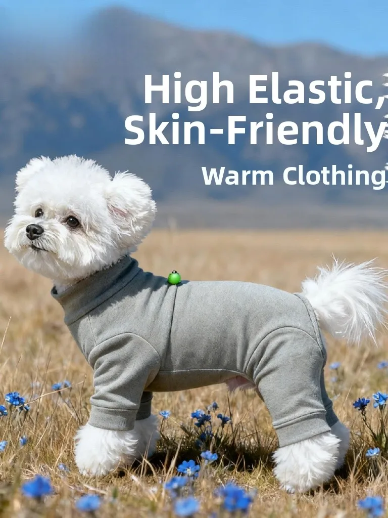 Molmolo Dog Warmth Clothes Base Shirt Autumn Winter Small Medium Poodle Four Legged Clothes Breathable Fleece Cotton Pet Supp...
Molmolo Dog Warmth Clothes Base Shirt Autumn Winter Small Medium Poodle Four Legged Clothes Breathable Fleece Cotton Pet Supp...