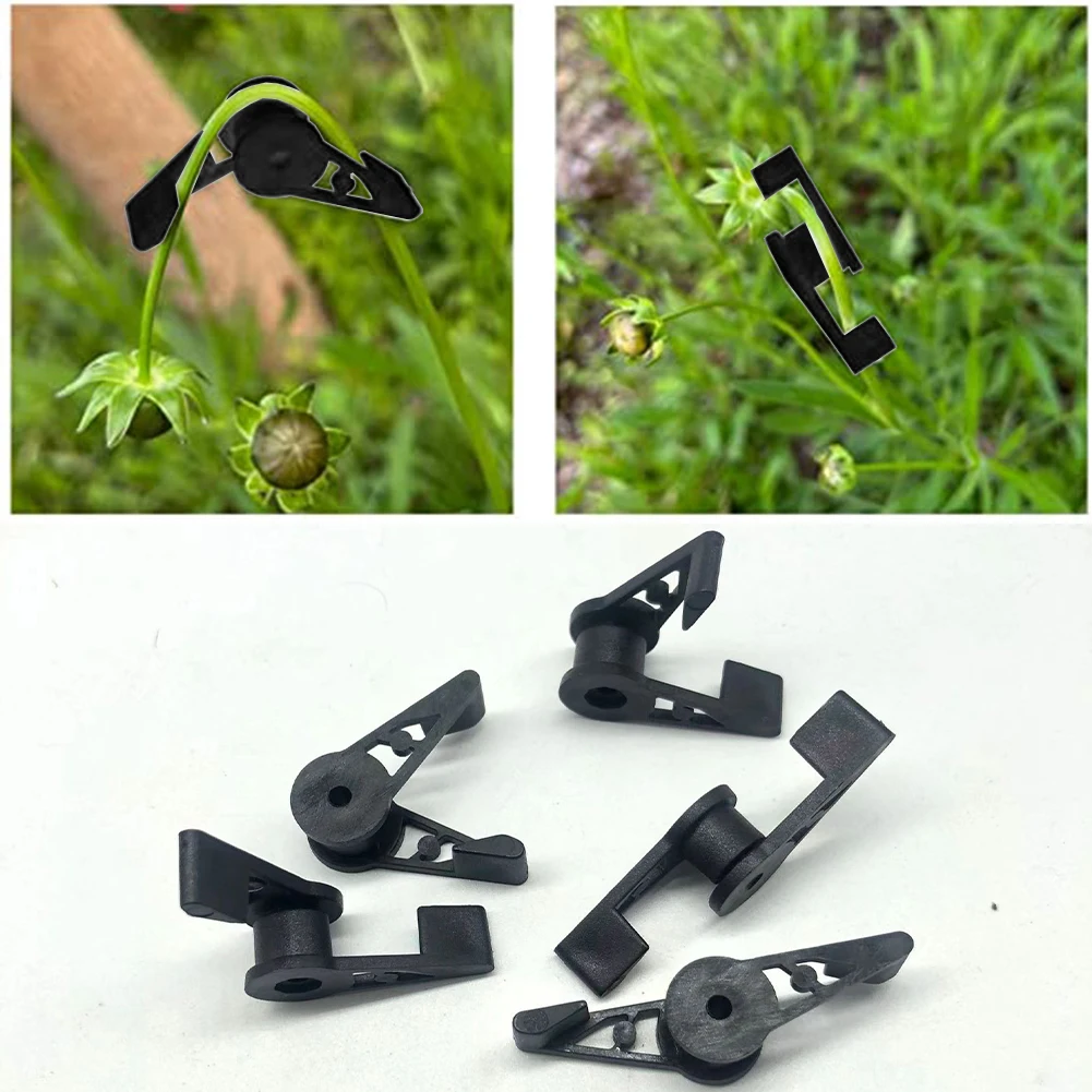 For Plant Training Lightweight Bender Adjustable Angle Bender 360 Degree Plant Training Tool 60 Pieces Included
For Plant Training Lightweight Bender Adjustable Angle Bender 360 Degree Plant Training Tool 60 Pieces Included