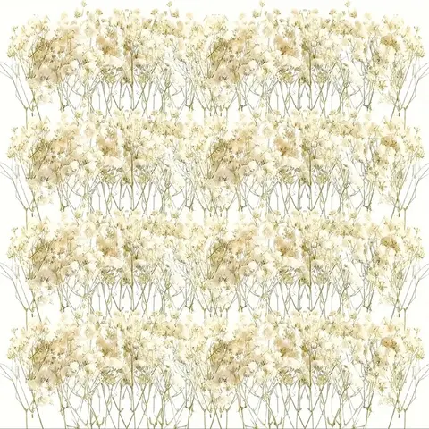 98pcs Mini Dried Pressed White Babys Breath Flowers Bulk - Real Natural Flat Flowers for Epoxy Craft, Scrapbooking, Wedding