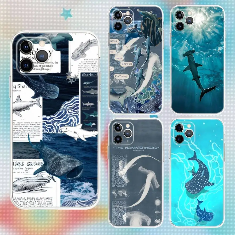 Blue Hammerhead Shark Sea Transparent Clear Soft Phone Case For iPhone 17,16,15,14,13,12,11,Air,X,XR,Pro,Max,Plus Cover
Blue Hammerhead Shark Sea Transparent Clear Soft Phone Case For iPhone 17,16,15,14,13,12,11,Air,X,XR,Pro,Max,Plus Cover