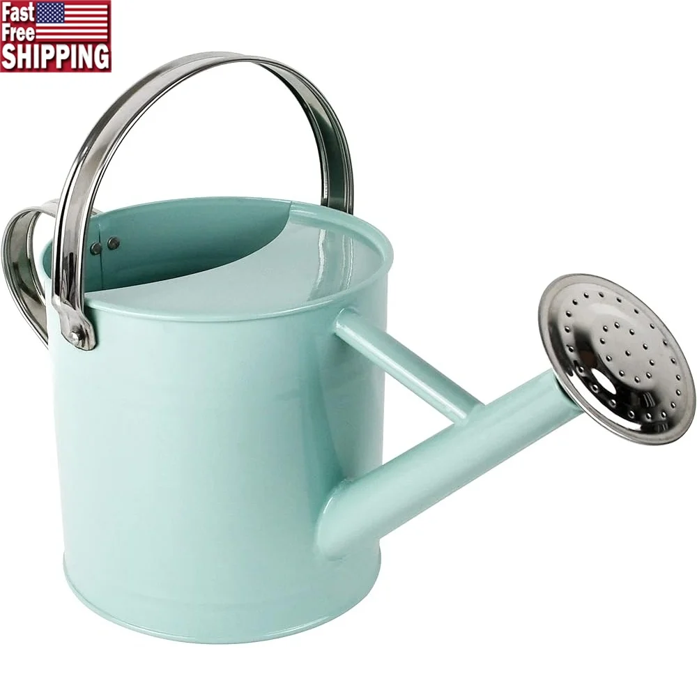 Metal Watering Can Half Gallon with Removable Spout Dual Handles Indoor Outdoor Plant Care Lightweight Durable Gardening Tool
Metal Watering Can Half Gallon with Removable Spout Dual Handles Indoor Outdoor Plant Care Lightweight Durable Gardening Tool