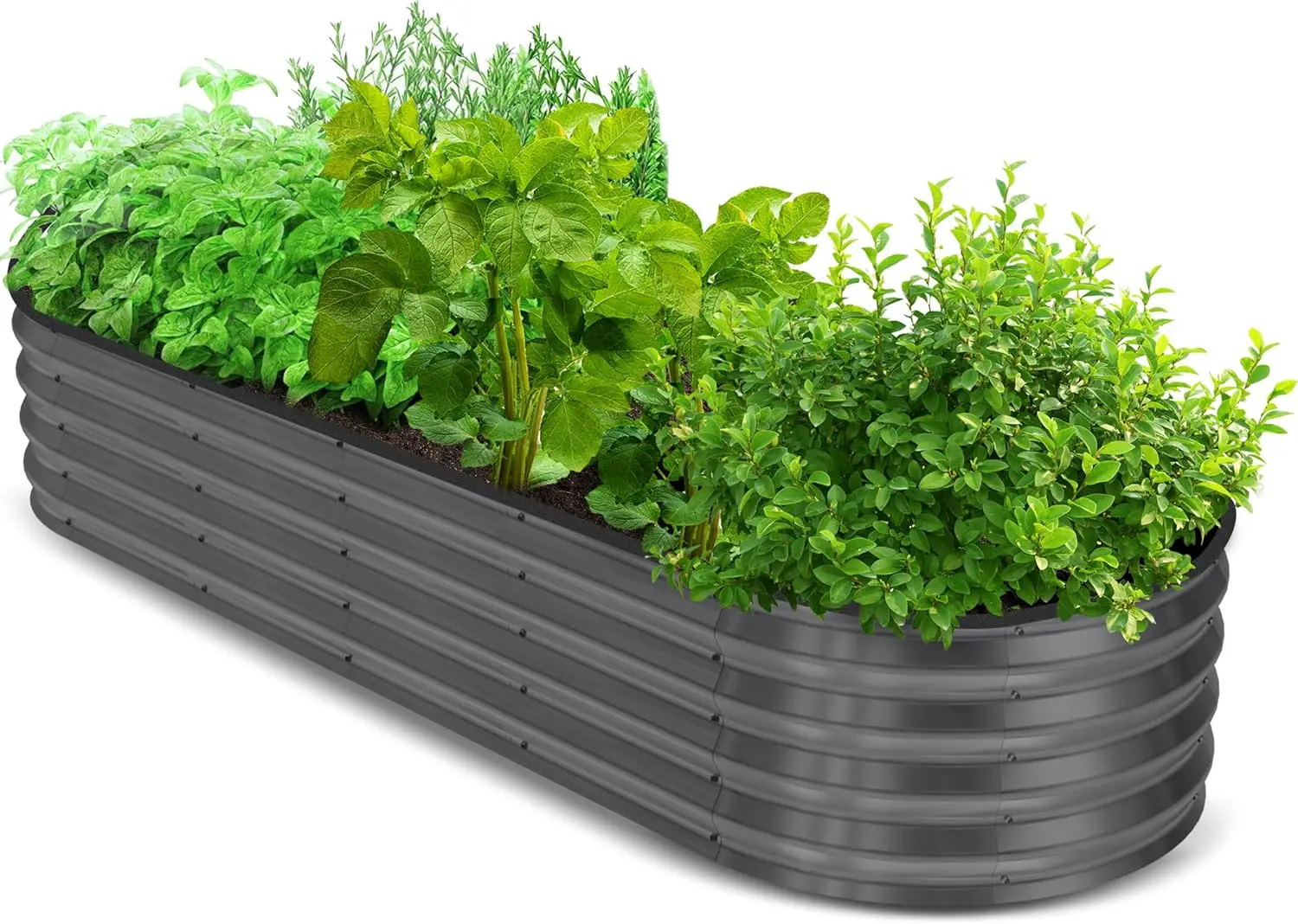 Galvanized Raised Garden Bed, 6 by 2 by 1 feet Lightweight Planter Boxes Outdoor with Easy Assembly, Large Garden Bed for Vegetables, Fruits, Flowers, Dark Grey
Galvanized Raised Garden Bed, 6 by 2 by 1 feet Lightweight Planter Boxes Outdoor with Easy Assembly, Large Garden Bed for Vegetables, Fruits, Flowers, Dark Grey