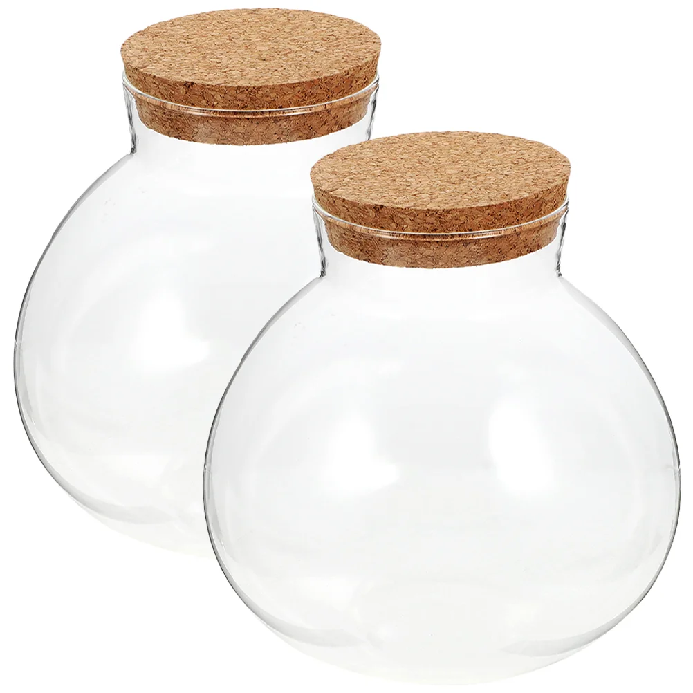 Tabletop Terrarium Micro Landscape Ecological Bottle Plant Microlandschaft Empty Buds Vases
Tabletop Terrarium Micro Landscape Ecological Bottle Plant Microlandschaft Empty Buds Vases