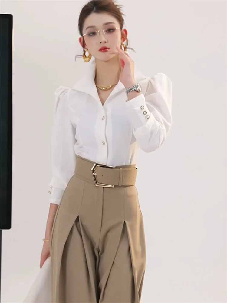 Women's 2025 spring new style long sleeve shirt and versatile wide leg pants professional temperament fashion two-piece set
Women's 2025 spring new style long sleeve shirt and versatile wide leg pants professional temperament fashion two-piece set