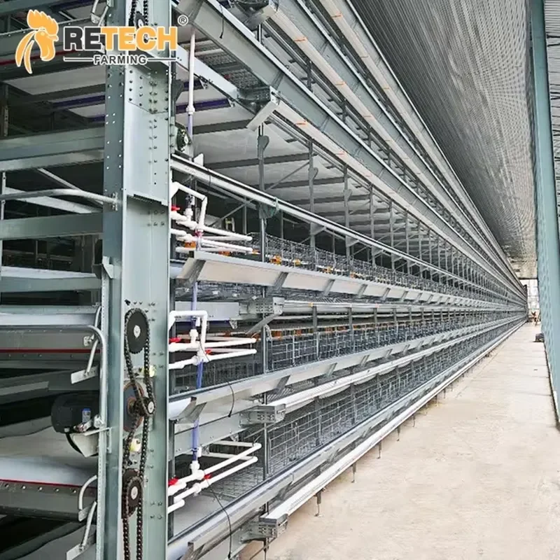 Retech Farming Automatic H Type Layer Chicken Cage Equipment with Egg Collection System for Poultry Farming
Retech Farming Automatic H Type Layer Chicken Cage Equipment with Egg Collection System for Poultry Farming