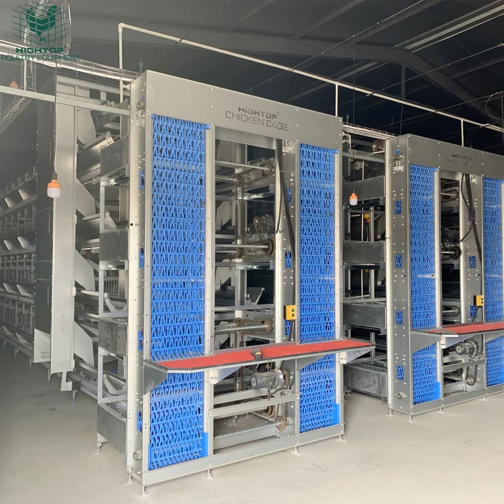Высококачественная новая крупная автоматическая клетка для кур-несушек типа H для птицефабрик, продажа в Зимбабве
Высококачественная новая крупная автоматическая клетка для кур-несушек типа H для птицефабрик, продажа в Зимбабве
