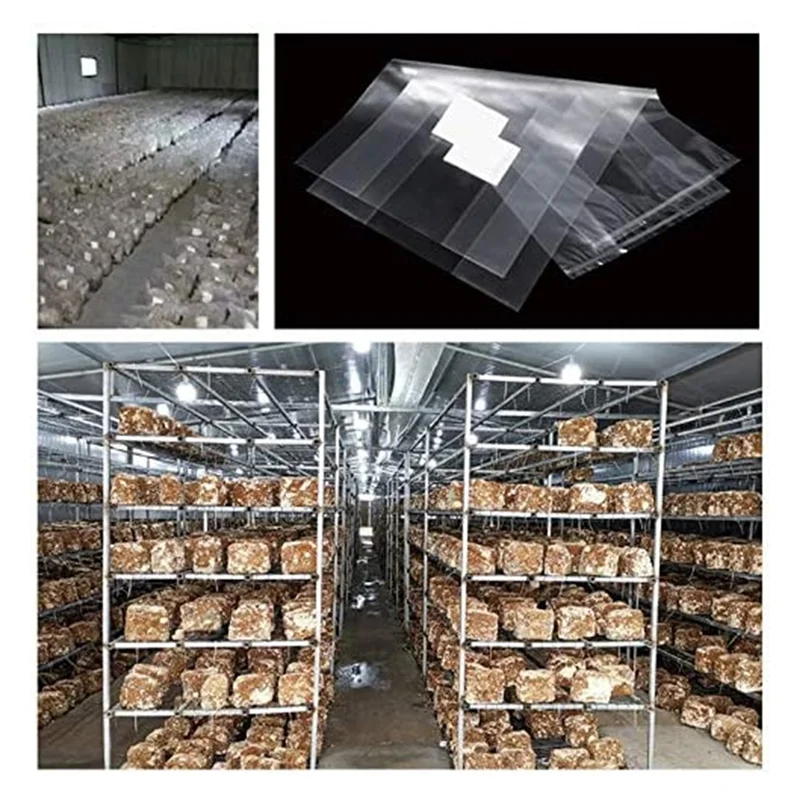 50 Count Mushroom Bags/Mushroom Growing Bags 2.5 Polypropylene Farm-Mushroom Spawn
50 Count Mushroom Bags/Mushroom Growing Bags 2.5 Polypropylene Farm-Mushroom Spawn