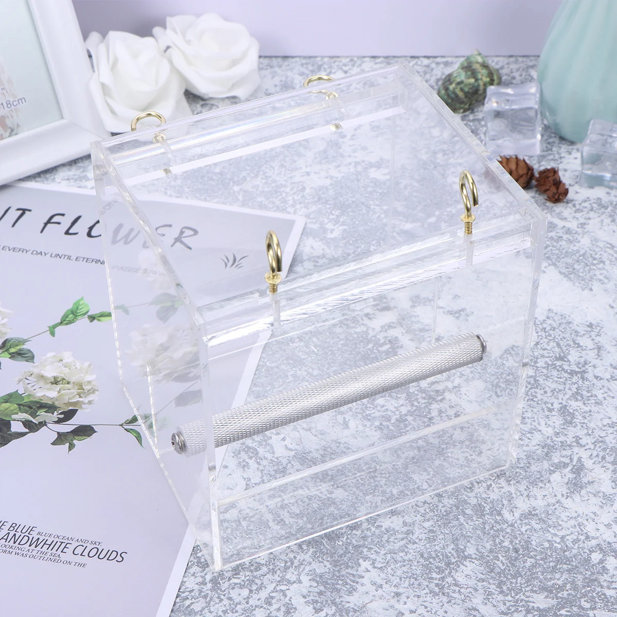 Large Transparent Window Bird Feeder Extra Deep Tray For Wild Birds Durable Acrylic Suction Feed Station Drain Holes
Large Transparent Window Bird Feeder Extra Deep Tray For Wild Birds Durable Acrylic Suction Feed Station Drain Holes