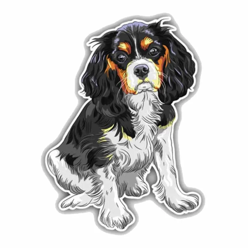 Sitting Cavalier King Charles Spaniel Breed Dog Car Sticker Auto Accessories PVC Bumper Decoration Waterproof Decal 15*11cm
Sitting Cavalier King Charles Spaniel Breed Dog Car Sticker Auto Accessories PVC Bumper Decoration Waterproof Decal 15*11cm
