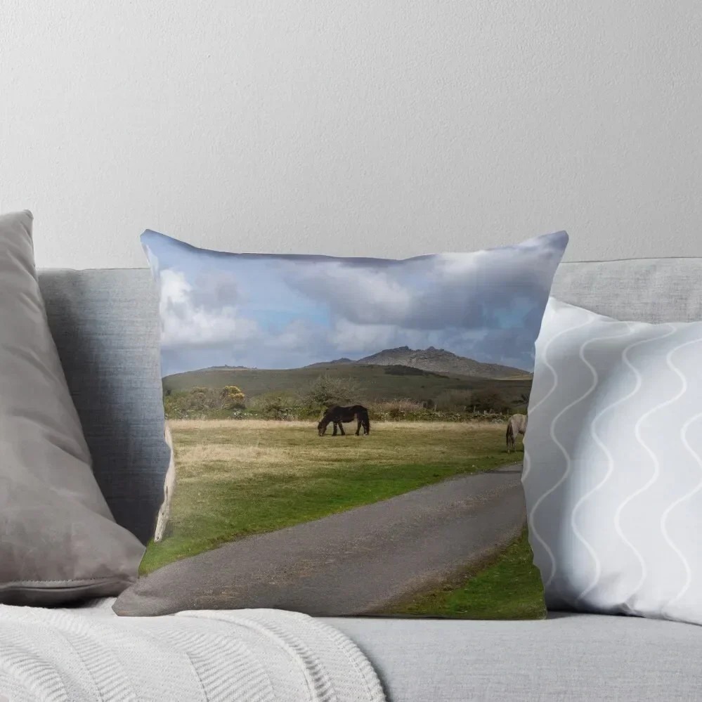 Bodmin Ponies near Roughtor Throw Pillow Marble Cushion Cover Decorative pillowcase ornamental pillows Pillow Decor pillow
Bodmin Ponies near Roughtor Throw Pillow Marble Cushion Cover Decorative pillowcase ornamental pillows Pillow Decor pillow