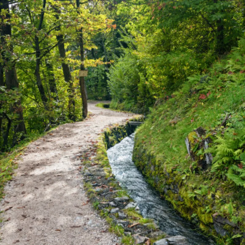 Aluminum Alloy 1.3 Inch Beadlock Wheel Rim Tire For 1/18 Trx4m Trx4-m Fms24 Axial Scx24 Rc Crawler Car Tire
Aluminum Alloy 1.3 Inch Beadlock Wheel Rim Tire For 1/18 Trx4m Trx4-m Fms24 Axial Scx24 Rc Crawler Car Tire