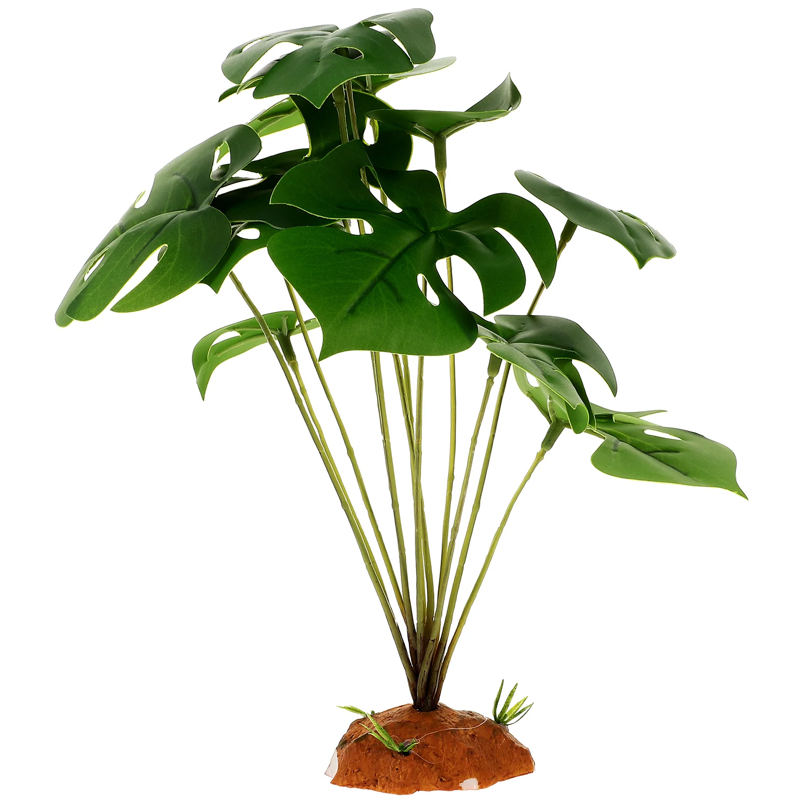 Reptile Terrarium Plants Accessories Fake for Artificial Decor Tank Fish Decorations Habitats Lizard
Reptile Terrarium Plants Accessories Fake for Artificial Decor Tank Fish Decorations Habitats Lizard