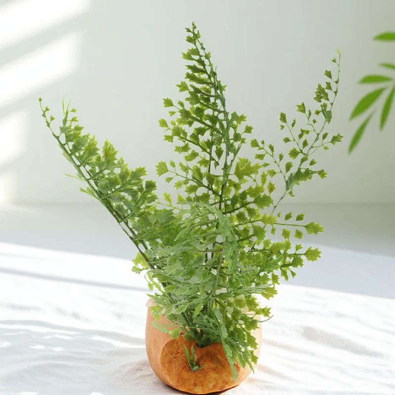 Artificial Reptile Plants Fake Green Grass Decor for Lizard Tank Accessories Terrarium Supplies Habitat Landscaping Fish
Artificial Reptile Plants Fake Green Grass Decor for Lizard Tank Accessories Terrarium Supplies Habitat Landscaping Fish