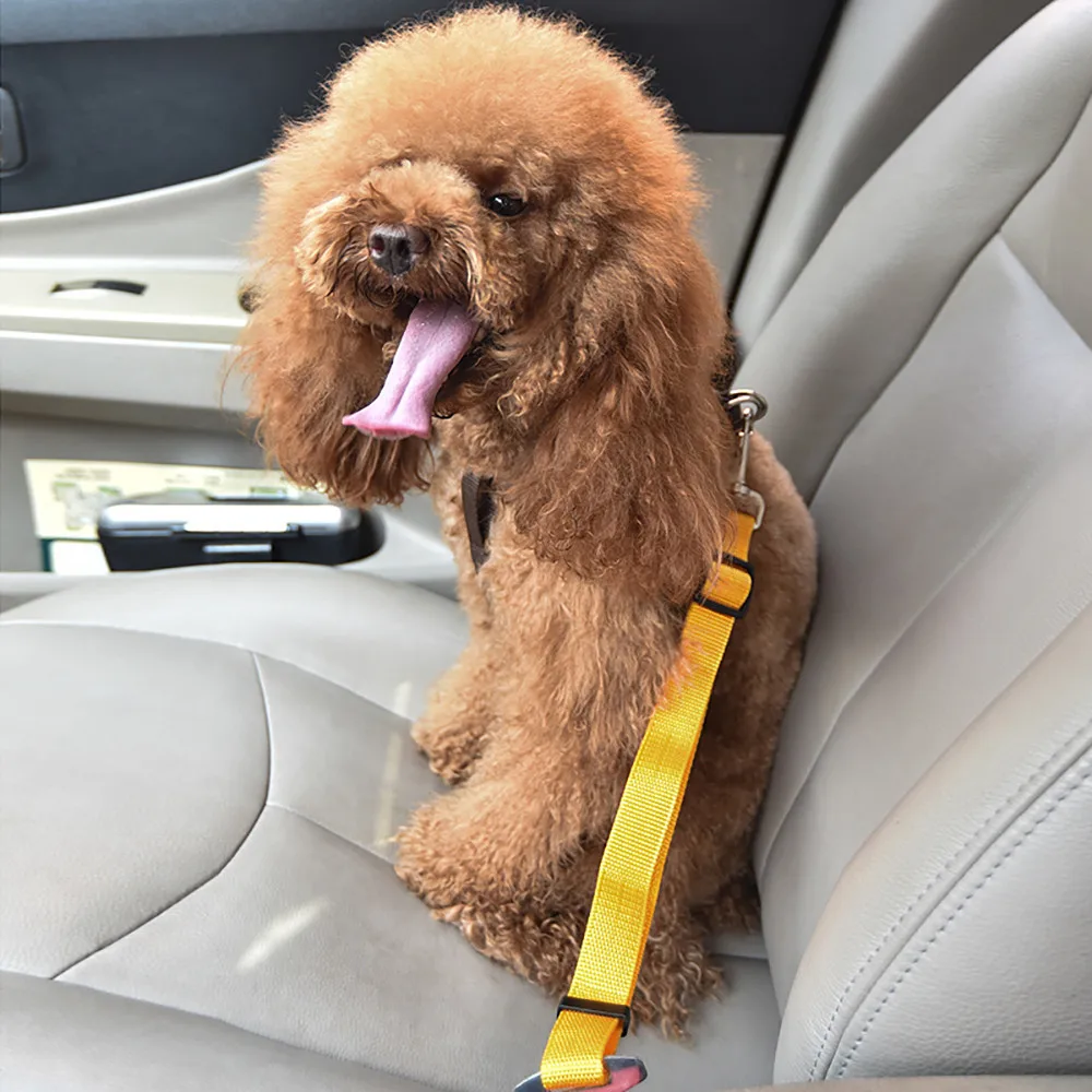 Adjustable Pet Cat Dog Car Seat Belt Pet Seat Vehicle Harness Leash Clip Safety Lever Travel Traction Dogs Collars Accessoires
Adjustable Pet Cat Dog Car Seat Belt Pet Seat Vehicle Harness Leash Clip Safety Lever Travel Traction Dogs Collars Accessoires