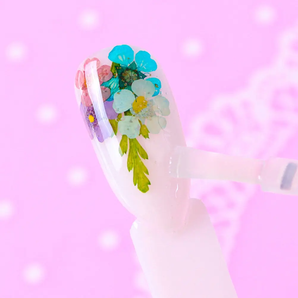 Natural Dried Chrysanthemum Flowers Nail Art Decorations Real Pressed Floral Elements for Professional Home Manicure Uv Gel
Natural Dried Chrysanthemum Flowers Nail Art Decorations Real Pressed Floral Elements for Professional Home Manicure Uv Gel
