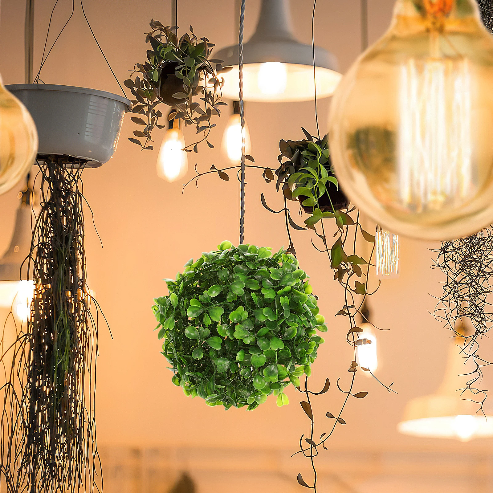 6 Pcs Simulated Grass Ball Decoration Eco Friendly Realistic Shape Mini Gardening Wedding Office Decor
6 Pcs Simulated Grass Ball Decoration Eco Friendly Realistic Shape Mini Gardening Wedding Office Decor