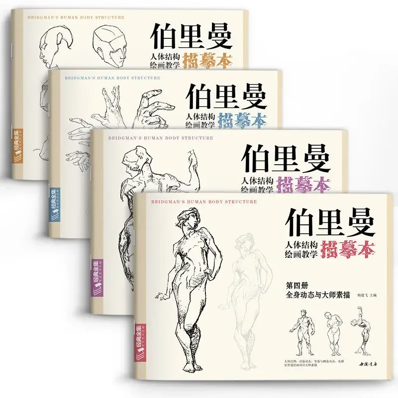 Character Sketch Drawing Structure Tutorial Learning Book Drawing Body Structure Teaching Tracing Book
Character Sketch Drawing Structure Tutorial Learning Book Drawing Body Structure Teaching Tracing Book