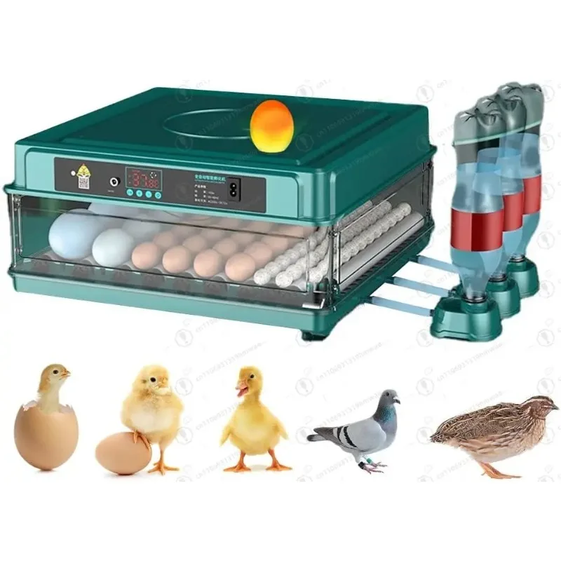 Automatic Egg Incubator 12-38 Eggs Digital Hatcher with Auto Turning Temperature Humidity Control LED Light for Poultry
Automatic Egg Incubator 12-38 Eggs Digital Hatcher with Auto Turning Temperature Humidity Control LED Light for Poultry