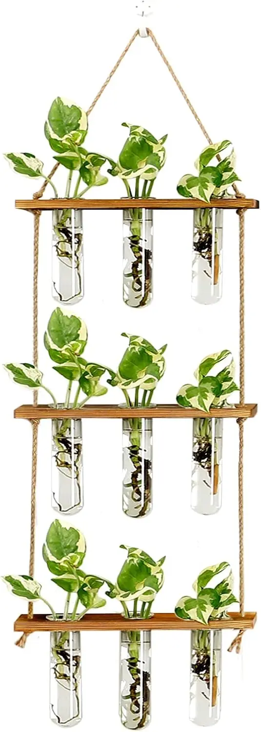 Wall Hanging Propagation Station with Wooden Stand & Glass Test Tubes - 9 Tube Vases for Home Office Decor, Hydroponic Cuttings
Wall Hanging Propagation Station with Wooden Stand & Glass Test Tubes - 9 Tube Vases for Home Office Decor, Hydroponic Cuttings