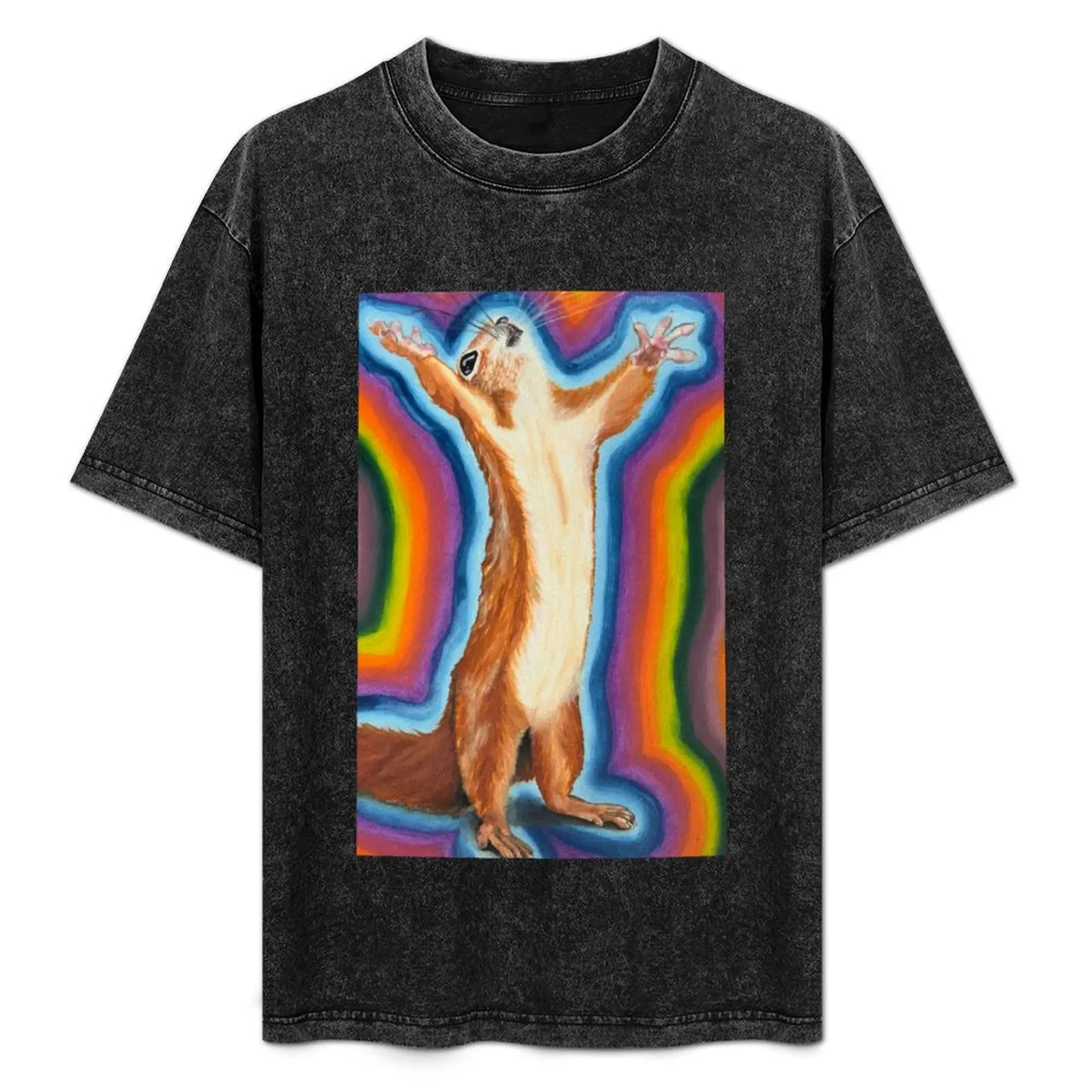 Praising Squirrel T-Shirt Breathable Gym Short Sleeve T-Shirt
Praising Squirrel T-Shirt Breathable Gym Short Sleeve T-Shirt