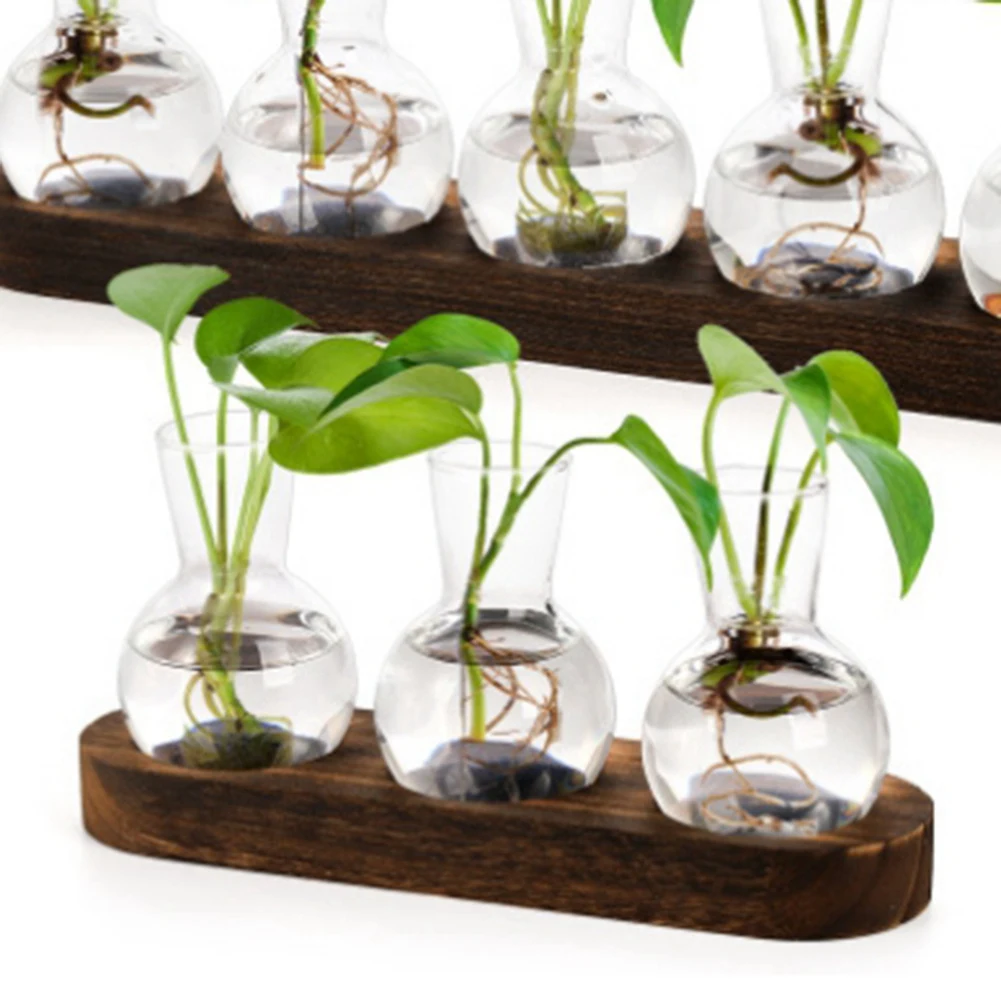 Superior AA63 Hydroponic Plant Vases Vintage Propagation Station Glass Transparent Flower Pot With Wooden Stand Home Decoration
Superior AA63 Hydroponic Plant Vases Vintage Propagation Station Glass Transparent Flower Pot With Wooden Stand Home Decoration