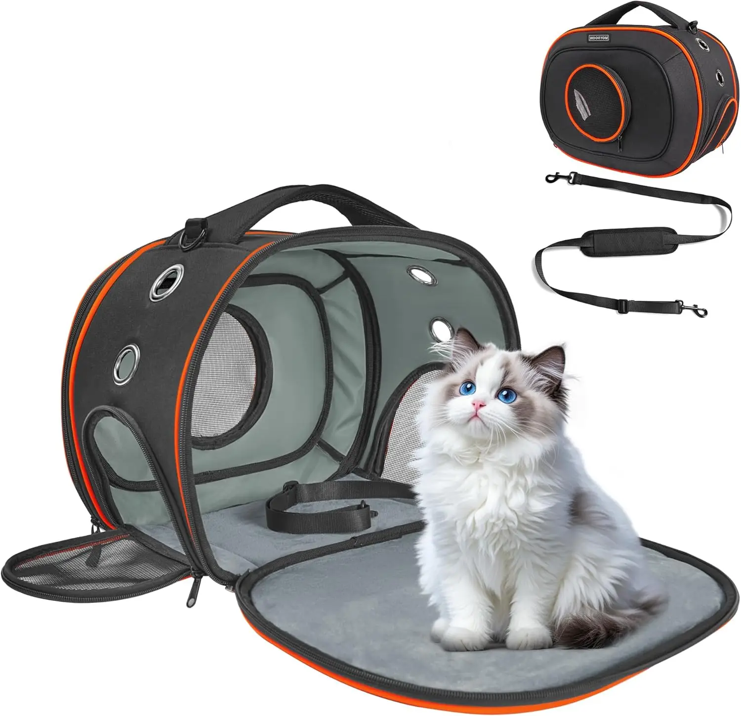 Airline Approved Cat Carrier 17" x 12.5" x 9", Fully Removable with Thick Double-Sided Padding, Breathable & Portable for Cat
Airline Approved Cat Carrier 17" x 12.5" x 9", Fully Removable with Thick Double-Sided Padding, Breathable & Portable for Cat