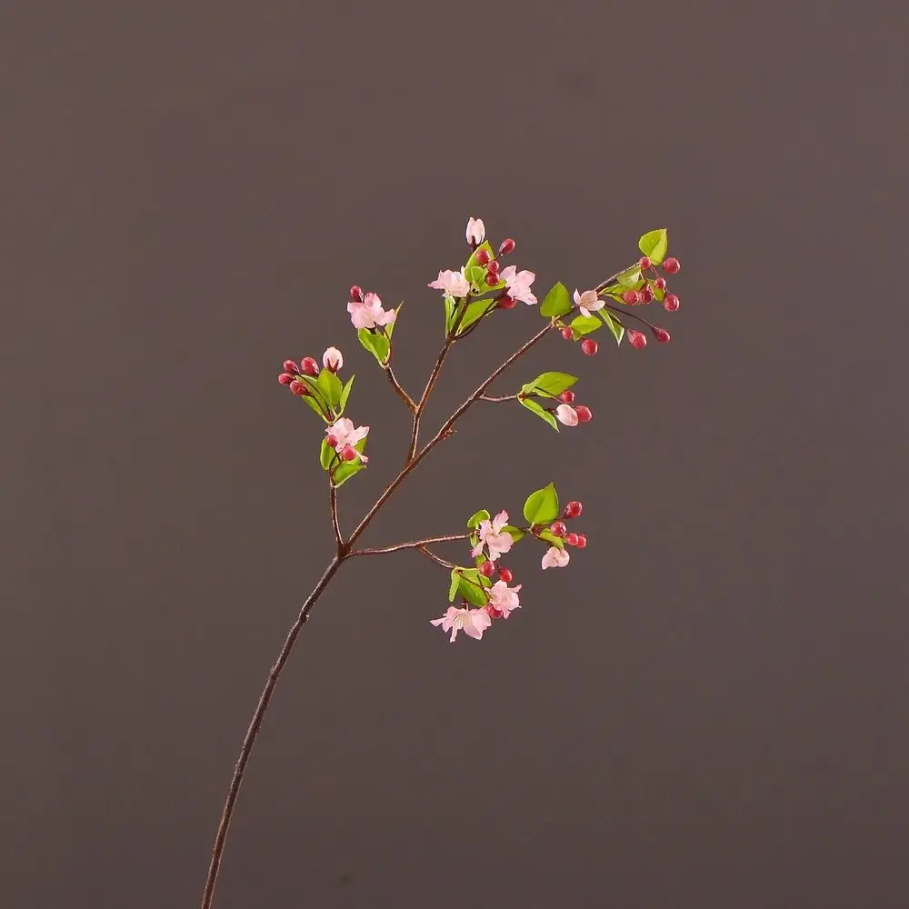 Elegant Artificial Begonia Flowers Lifelike Handmade Simulation Malus Flowers Real Touch Fake Flowers Home Office Decor
Elegant Artificial Begonia Flowers Lifelike Handmade Simulation Malus Flowers Real Touch Fake Flowers Home Office Decor
