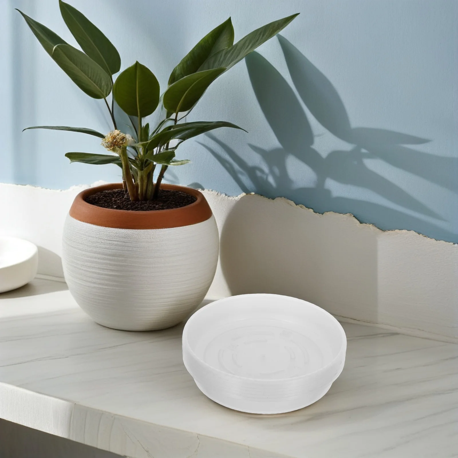 6Pcs Clear Saucer for Indoor Plants Plastic Plant Saucer Round Water Catcher Tray Pot Bottom Drainage Garden Tool
6Pcs Clear Saucer for Indoor Plants Plastic Plant Saucer Round Water Catcher Tray Pot Bottom Drainage Garden Tool