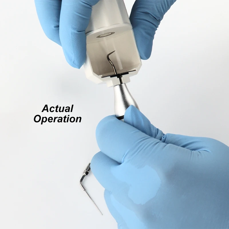 VV Dental 1/PC Dental Torque Wrench Half-open Wrench for Scaler Tips fit EMS Woodpecker 135℃ High Temperature Disinfection Tool
VV Dental 1/PC Dental Torque Wrench Half-open Wrench for Scaler Tips fit EMS Woodpecker 135℃ High Temperature Disinfection Tool