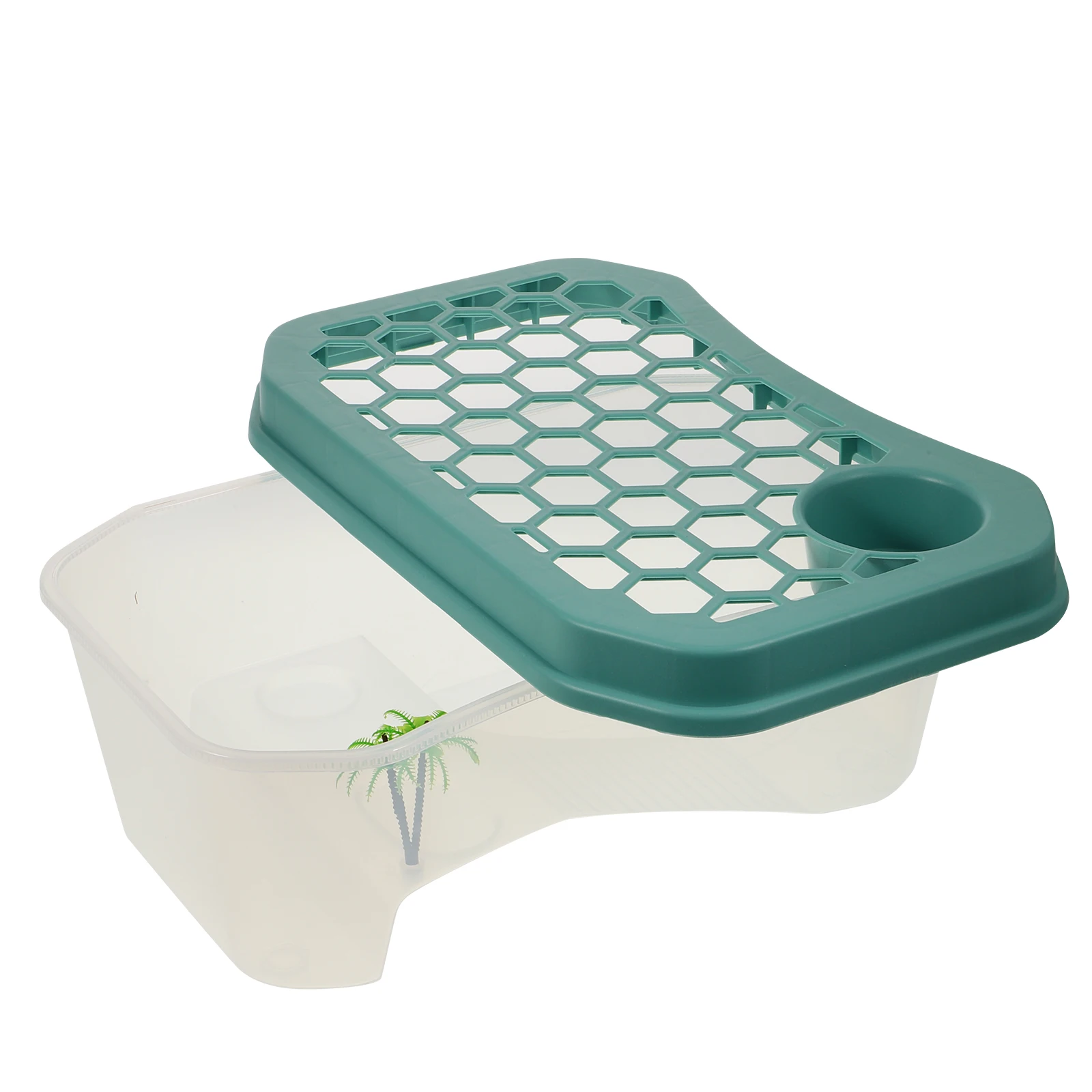 Plastic Turtle Terrace Tank for Small Turtles Durable Reusable Container Breeding Aquarium Feeding Area Slope Crawling Exercise
Plastic Turtle Terrace Tank for Small Turtles Durable Reusable Container Breeding Aquarium Feeding Area Slope Crawling Exercise