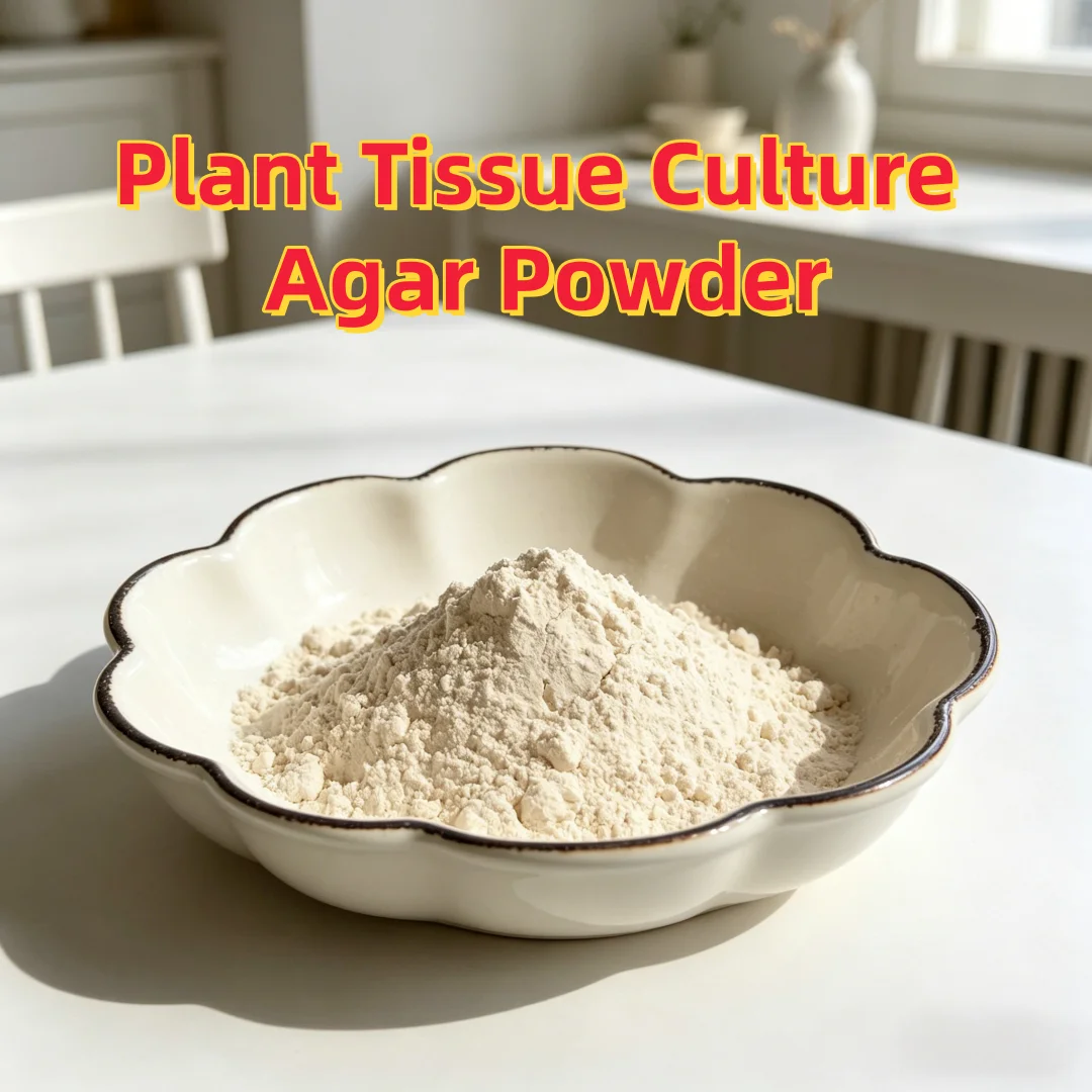 High Gel Strength Plant Tissue Culture Agar Powder | Lab Grade, MS Medium Compatible for Micropropagation
High Gel Strength Plant Tissue Culture Agar Powder | Lab Grade, MS Medium Compatible for Micropropagation
