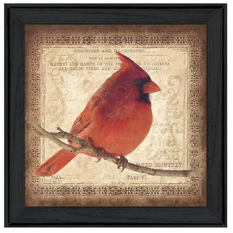 Male Cardinal Framed Print Black Frame Artisan John Jones Ready to Hang
Male Cardinal Framed Print Black Frame Artisan John Jones Ready to Hang
