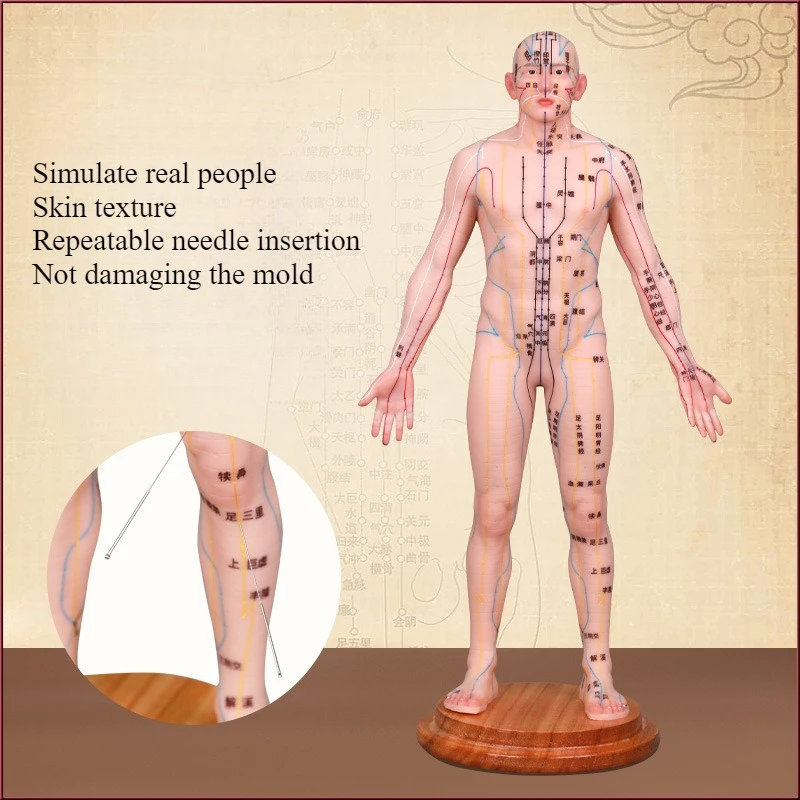 55cm Medical Teaching Model Acupuncture and Moxibustion Small Skin Man Portable Human Meridians and Acupoints Bronze Man
55cm Medical Teaching Model Acupuncture and Moxibustion Small Skin Man Portable Human Meridians and Acupoints Bronze Man