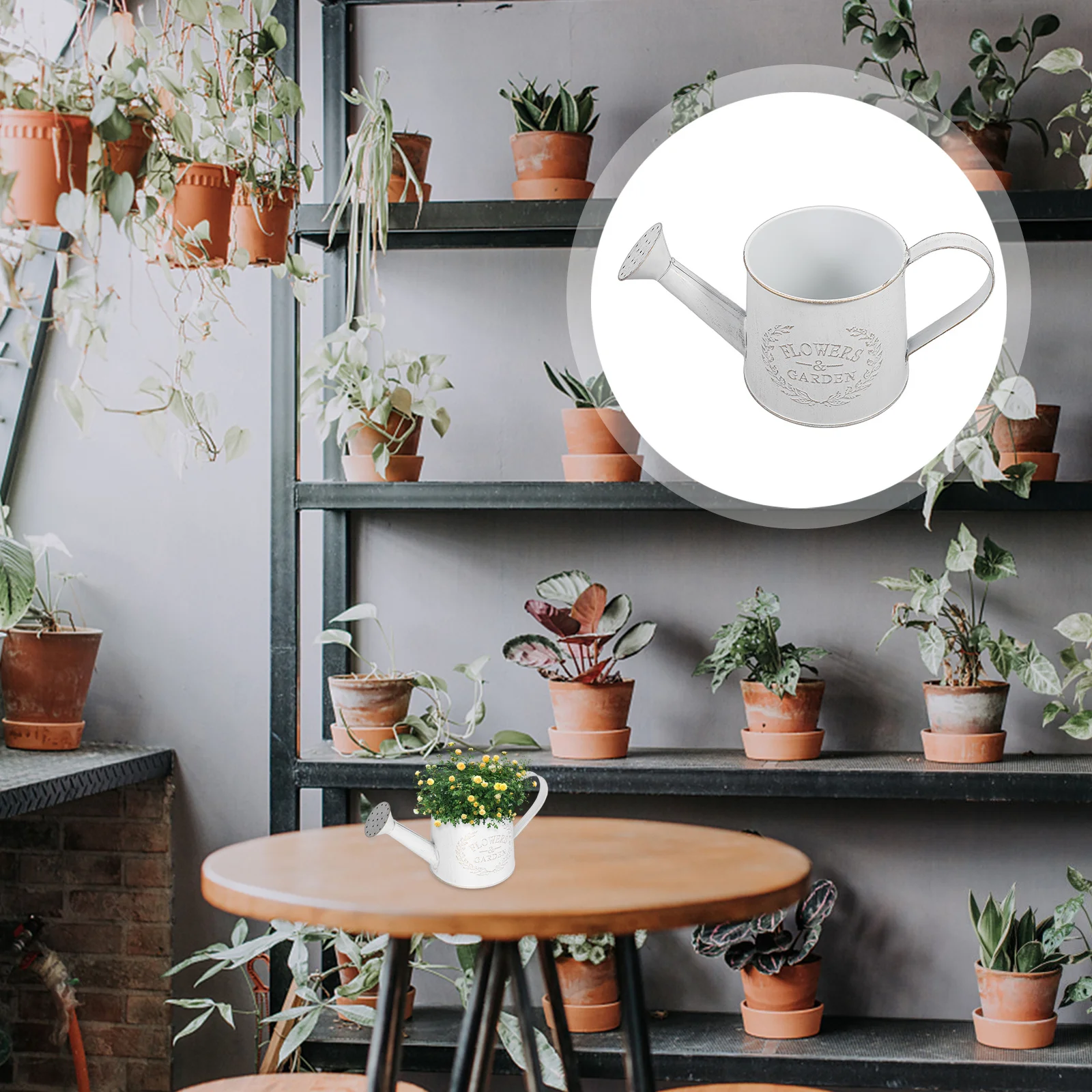 Watering Can Flower Pot Decorative Metal Bucket Jugs Long Spout Succulent Plant Tool Indoor Outdoor Use Practical Durable
Watering Can Flower Pot Decorative Metal Bucket Jugs Long Spout Succulent Plant Tool Indoor Outdoor Use Practical Durable