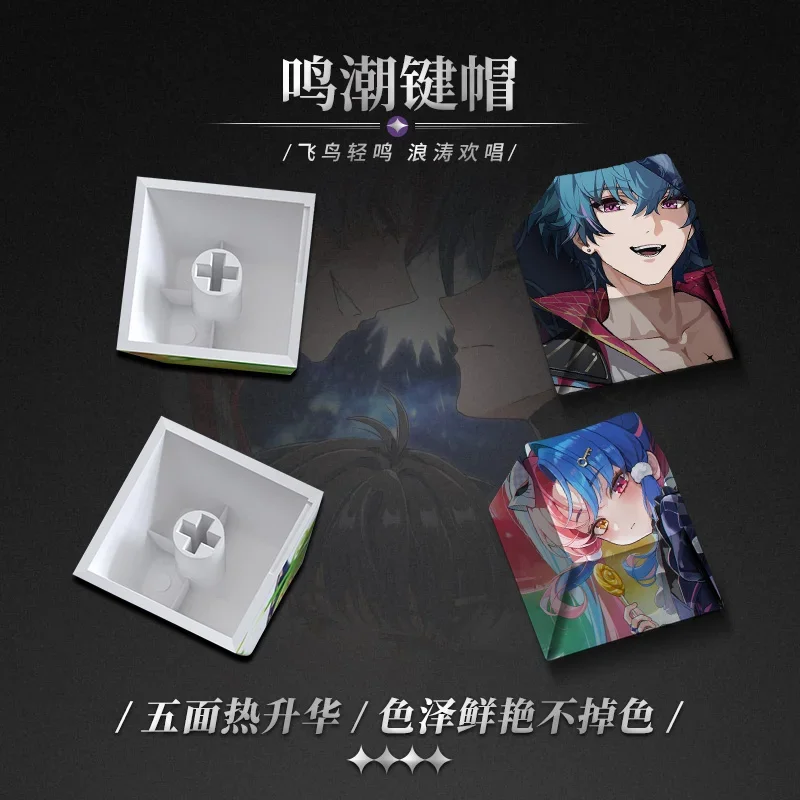 Wuthering Waves Jiyan ROCCIA Zhezhi 131 Keycaps PBT Keycaps Mechanical Keyboard Game Customization
Wuthering Waves Jiyan ROCCIA Zhezhi 131 Keycaps PBT Keycaps Mechanical Keyboard Game Customization