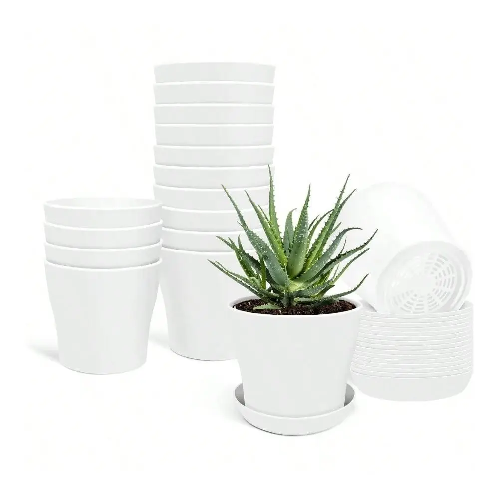 16 Pack Plant Pots Indoor Outdoor 3.8 Plant Flower Pot With Drainage Holes And Saucers Plastic Small Pots For Plants Succulent
16 Pack Plant Pots Indoor Outdoor 3.8 Plant Flower Pot With Drainage Holes And Saucers Plastic Small Pots For Plants Succulent