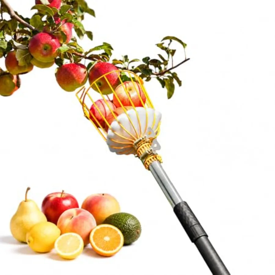 9Feet Fruit Picker Pole Tool with Basket, Fruits Picking Tool with 35 105 Inch Adjustable Lightweight Stainl Steel Pole and Big
9Feet Fruit Picker Pole Tool with Basket, Fruits Picking Tool with 35 105 Inch Adjustable Lightweight Stainl Steel Pole and Big