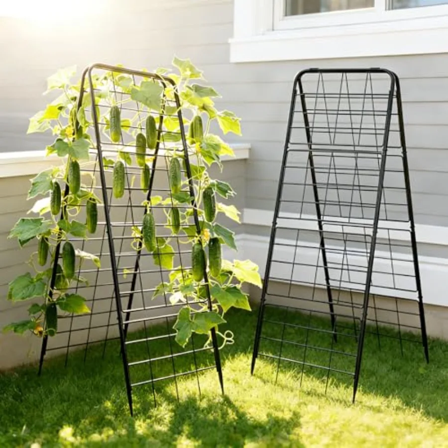 Heavy Duty Adjustable A-Frame Garden Trellis for Climbing Plants PC Reinforced Metal Black Ideal for Tomatoes Cucumbers Outdoor
Heavy Duty Adjustable A-Frame Garden Trellis for Climbing Plants PC Reinforced Metal Black Ideal for Tomatoes Cucumbers Outdoor