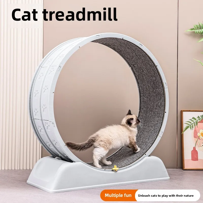 Cat treadmill silent cat climbing frame large pet toy roller fitness sports plastic dog fitness running wheel 
Cat treadmill silent cat climbing frame large pet toy roller fitness sports plastic dog fitness running wheel